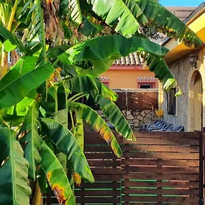 https://girasoles-sanlucar-de-barrameda.es-andalucia.com
